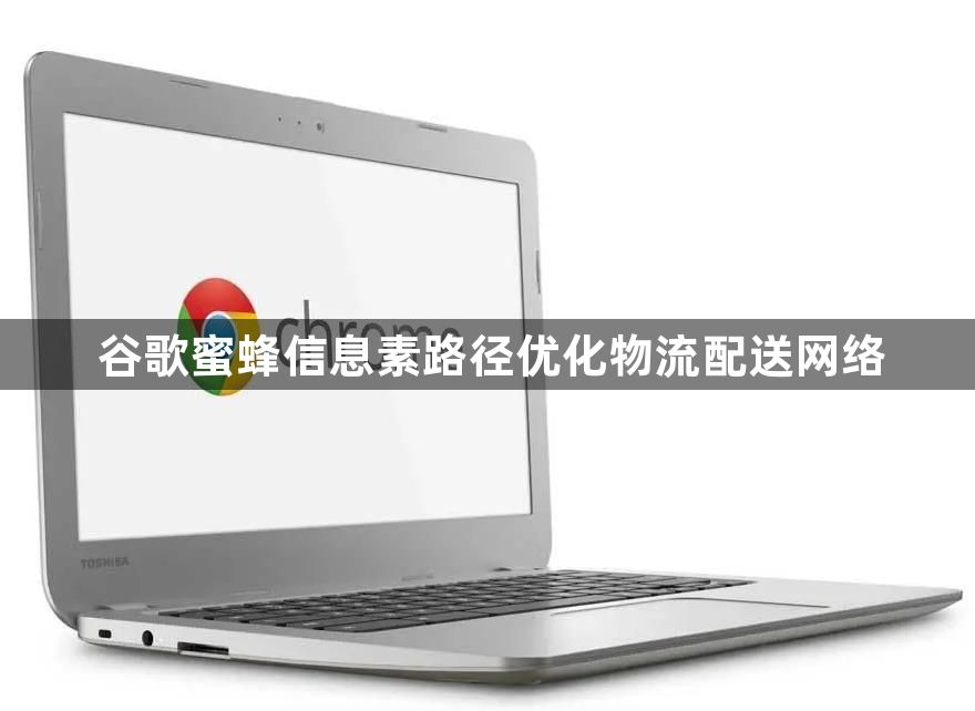 谷歌蜜蜂信息素路径优化物流配送网络1