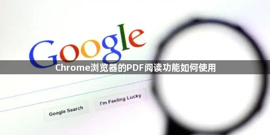 Chrome浏览器的PDF阅读功能如何使用1