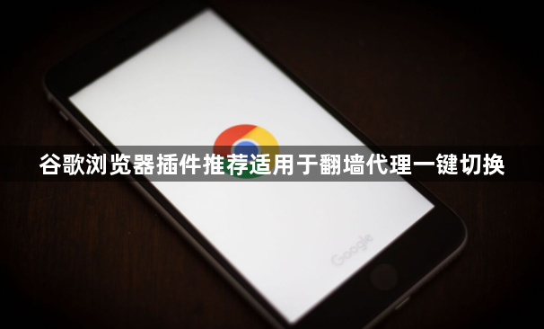 谷歌浏览器插件推荐适用于翻墙代理一键切换1