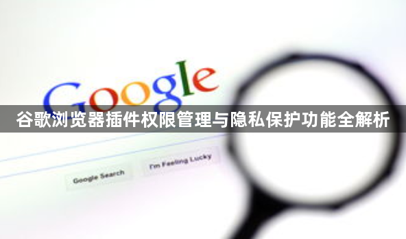 谷歌浏览器插件权限管理与隐私保护功能全解析1