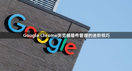 Google Chrome浏览器插件管理的进阶技巧1