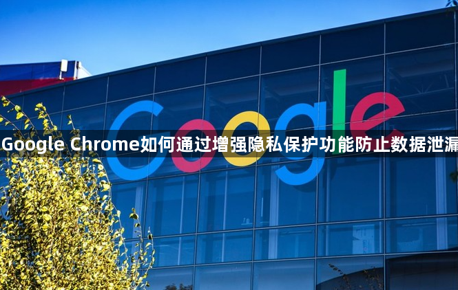 Google Chrome如何通过增强隐私保护功能防止数据泄漏1