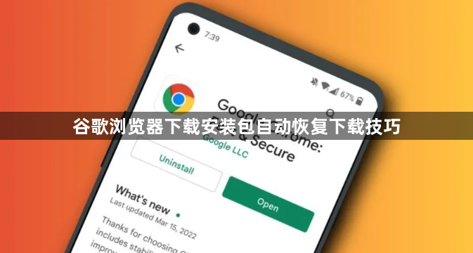 谷歌浏览器下载安装包自动恢复下载技巧1
