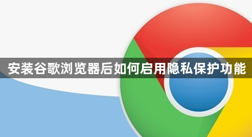 安装谷歌浏览器后如何启用隐私保护功能1