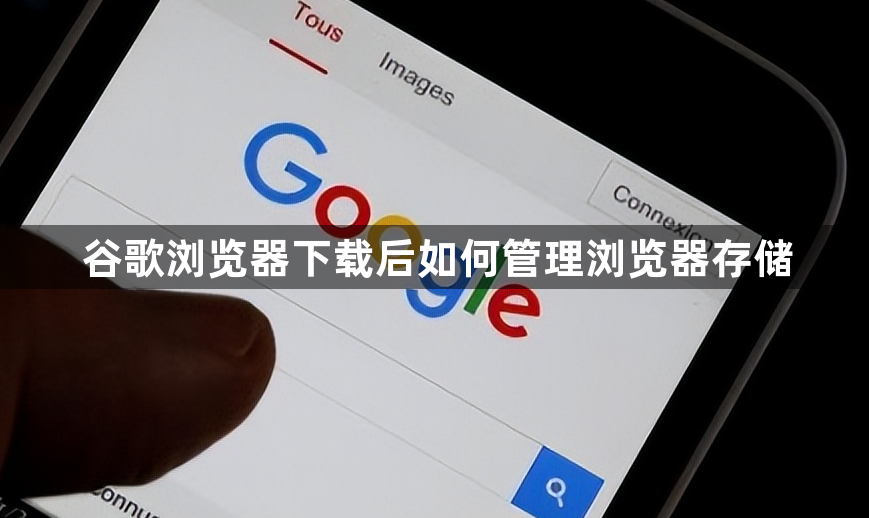 谷歌浏览器下载后如何管理浏览器存储1