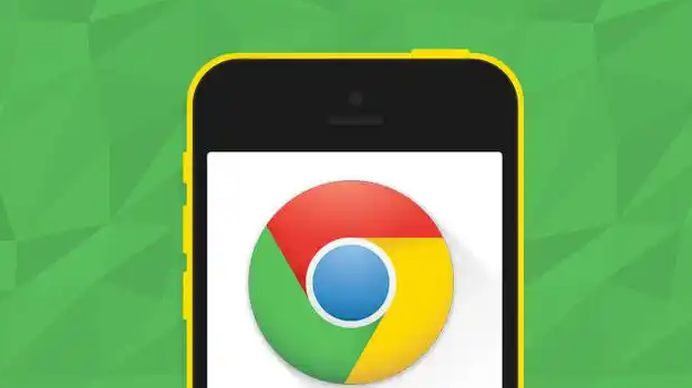 Google Chrome下载安装过程中出现闪退的修复建议