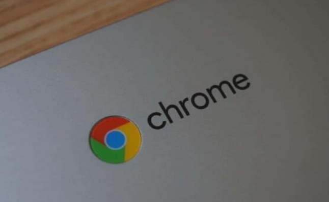 Google Chrome下载新版本时有哪些注意事项