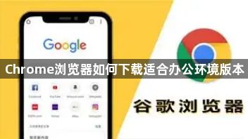Chrome浏览器如何下载适合办公环境版本1