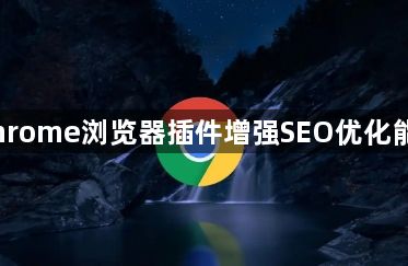 Chrome浏览器插件增强SEO优化能力1