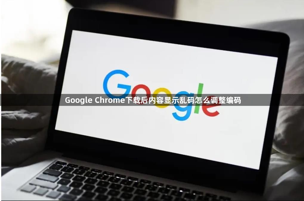 Google Chrome下载后内容显示乱码怎么调整编码1