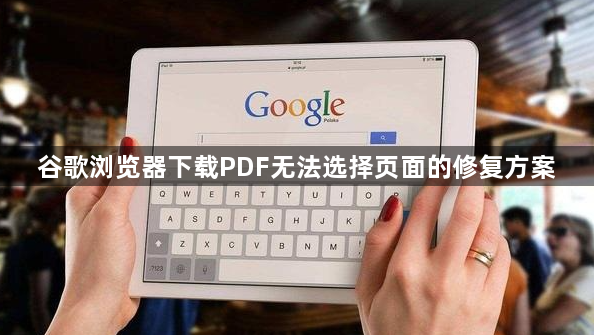 谷歌浏览器下载PDF无法选择页面的修复方案1