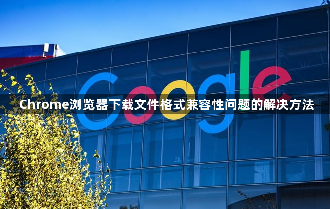 Chrome浏览器下载文件格式兼容性问题的解决方法1
