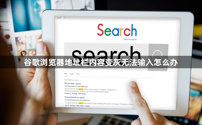 谷歌浏览器地址栏内容变灰无法输入怎么办1