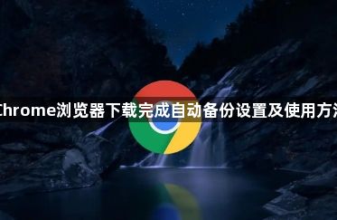 Chrome浏览器下载完成自动备份设置及使用方法1