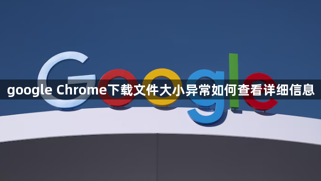 google Chrome下载文件大小异常如何查看详细信息1