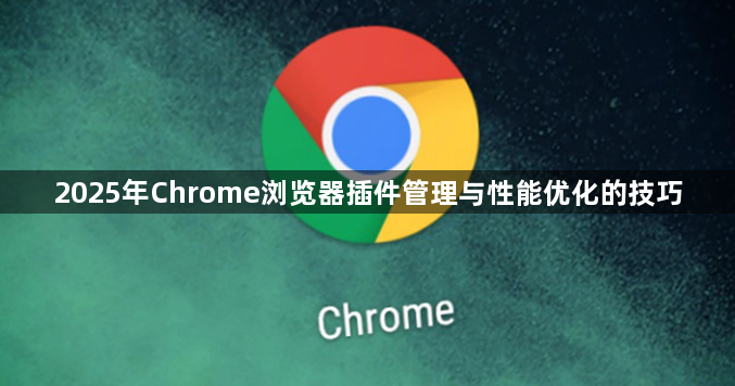 2025年Chrome浏览器插件管理与性能优化的技巧1