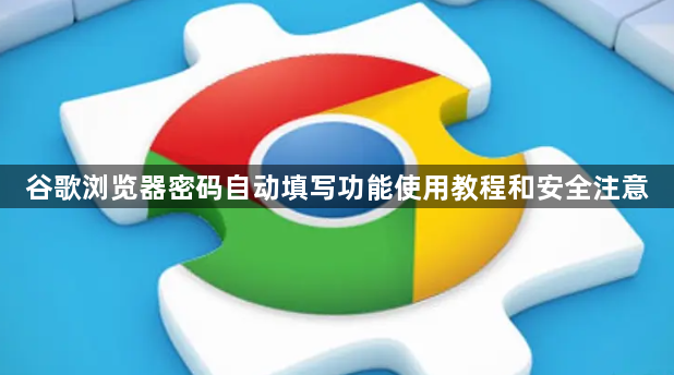 谷歌浏览器密码自动填写功能使用教程和安全注意1