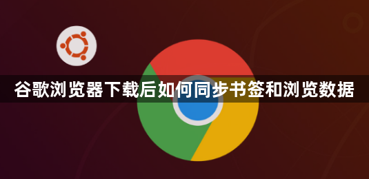 谷歌浏览器下载后如何同步书签和浏览数据1
