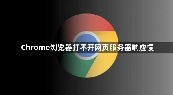 Chrome浏览器打不开网页服务器响应慢1