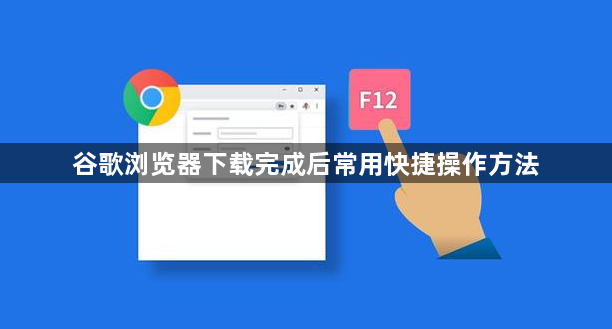 谷歌浏览器下载完成后常用快捷操作方法1
