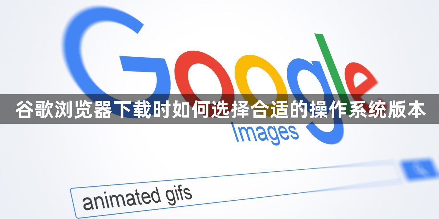 谷歌浏览器下载时如何选择合适的操作系统版本1