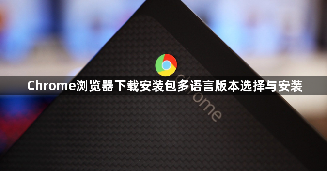 Chrome浏览器下载安装包多语言版本选择与安装1