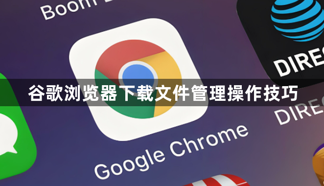 谷歌浏览器下载文件管理操作技巧1