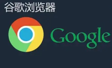google浏览器离线包下载安装操作方法详解