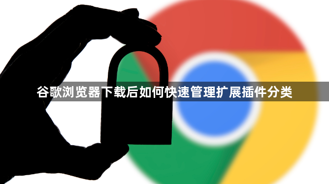 谷歌浏览器下载后如何快速管理扩展插件分类1