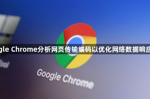google Chrome分析网页传输编码以优化网络数据响应效率1