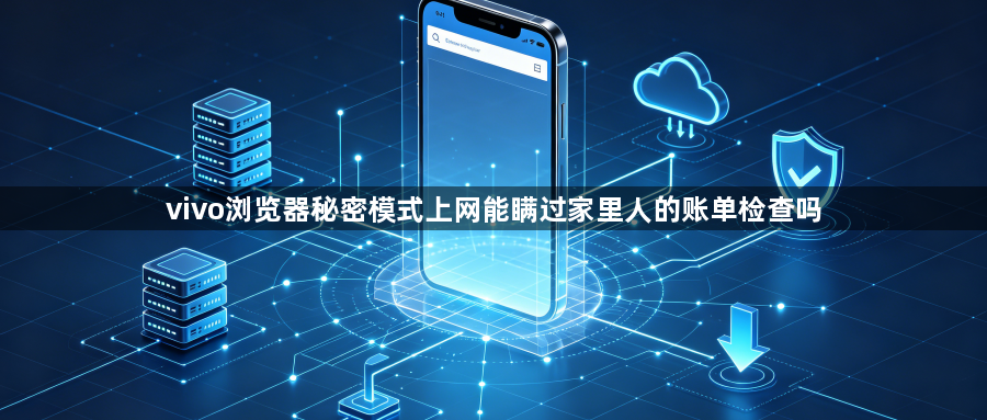 vivo浏览器秘密模式上网能瞒过家里人的账单检查吗1